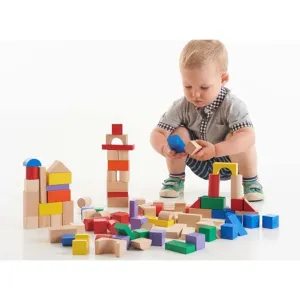 100 wooden Block set