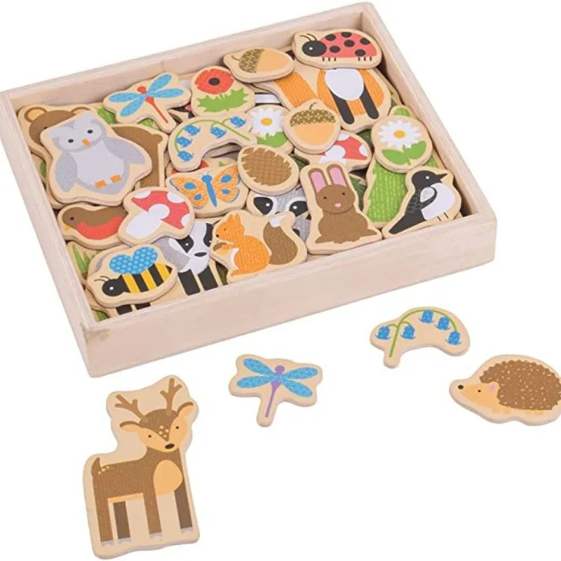 35 Piece Magnet Set
