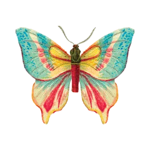 Embroidery Butterfly | Temporary Tattoo Pair