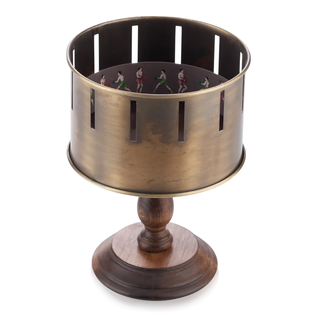 Handmade Zoetrope