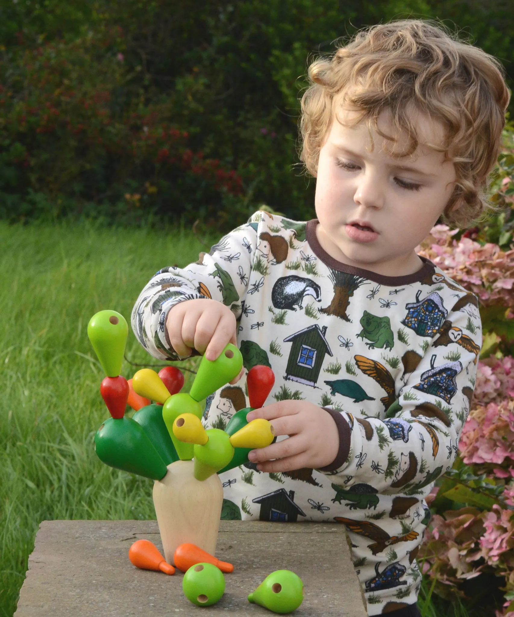 PlanToys Balancing Cactus