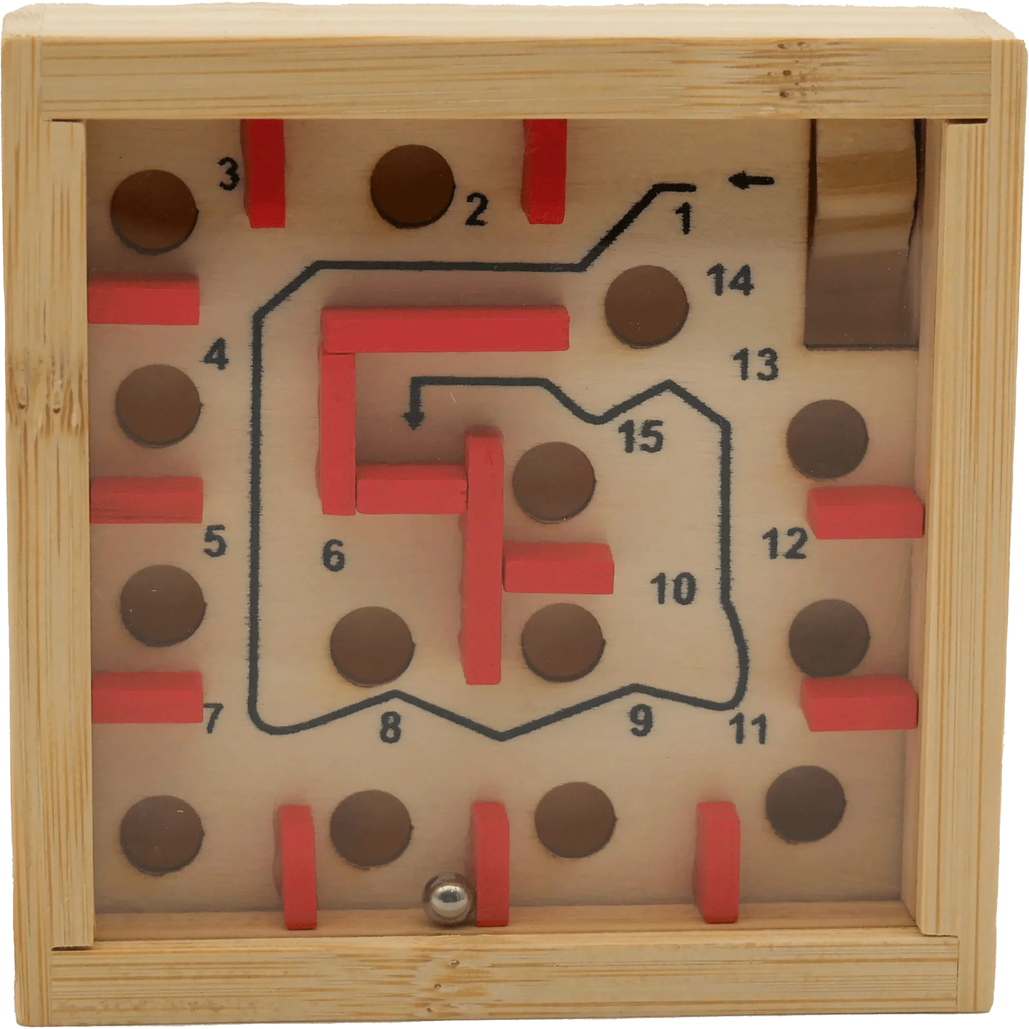 Project Genius The Great Coral Maze