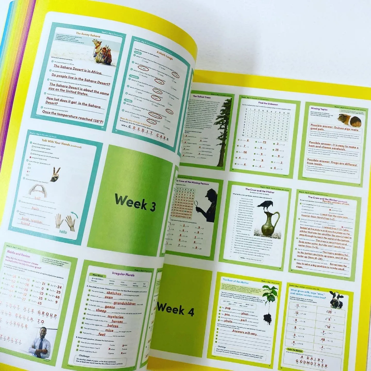 Weekly Reader - Summer Express Between Grades 3 & 4 Workbook